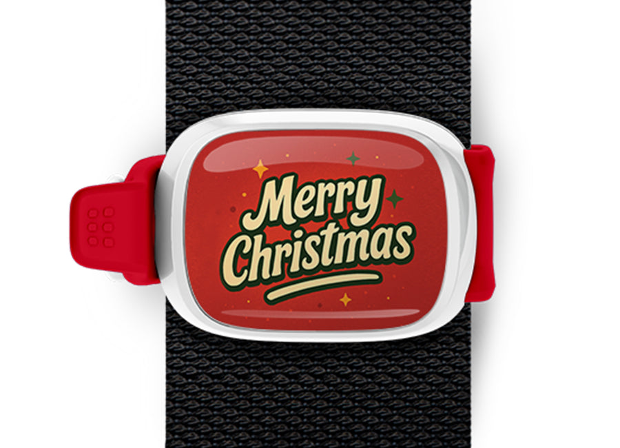 Merry Christmas Christmas Bag Tag mounted on a bag strap