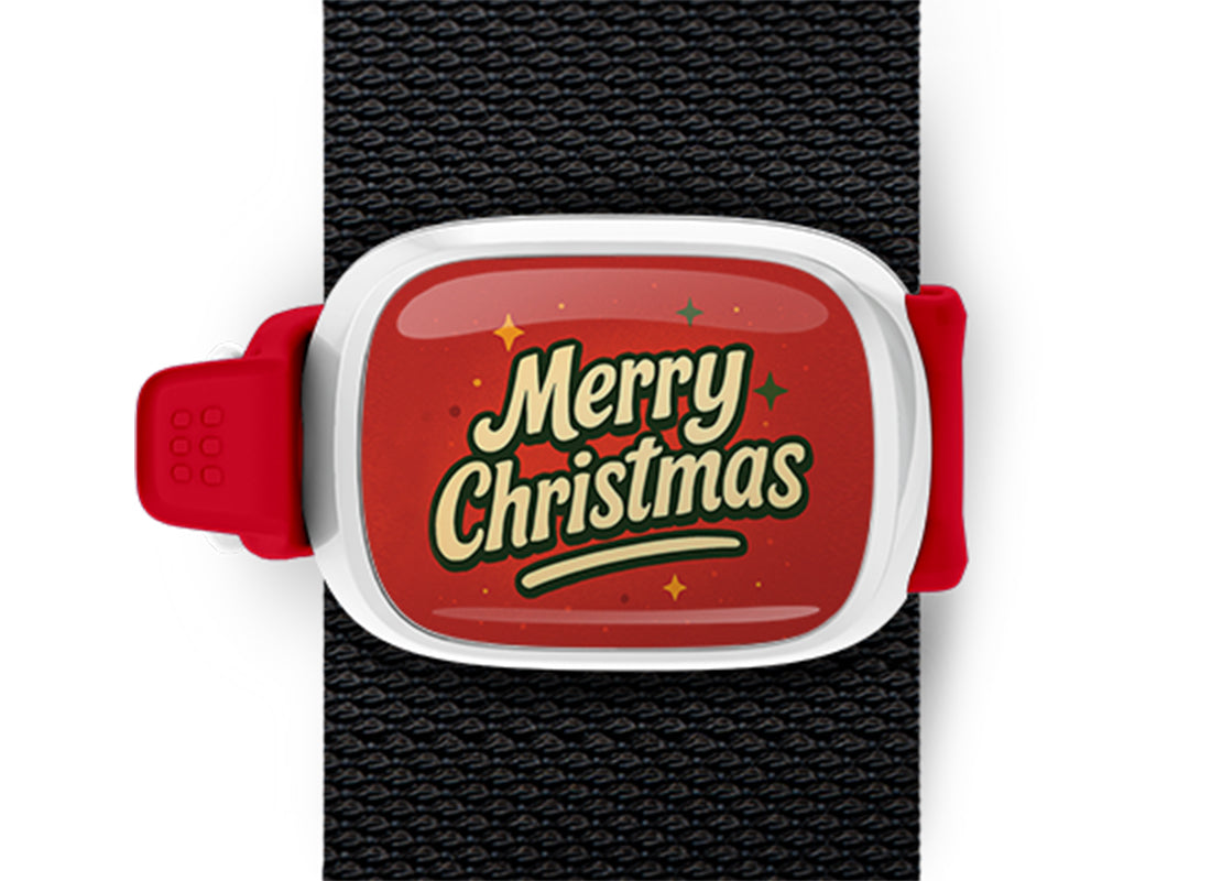 Merry Christmas bag tag Stwrap mounted on backpack strap