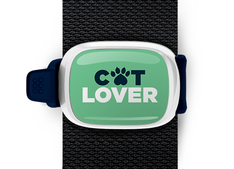 Cat Lover Bag Tag mounted on a bag strap