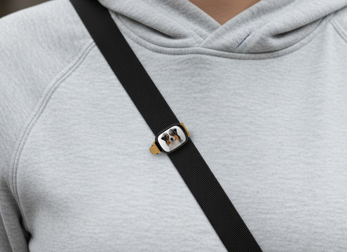Australian Shepherd photo Stwrap bag tag worn on a black crossbody strap