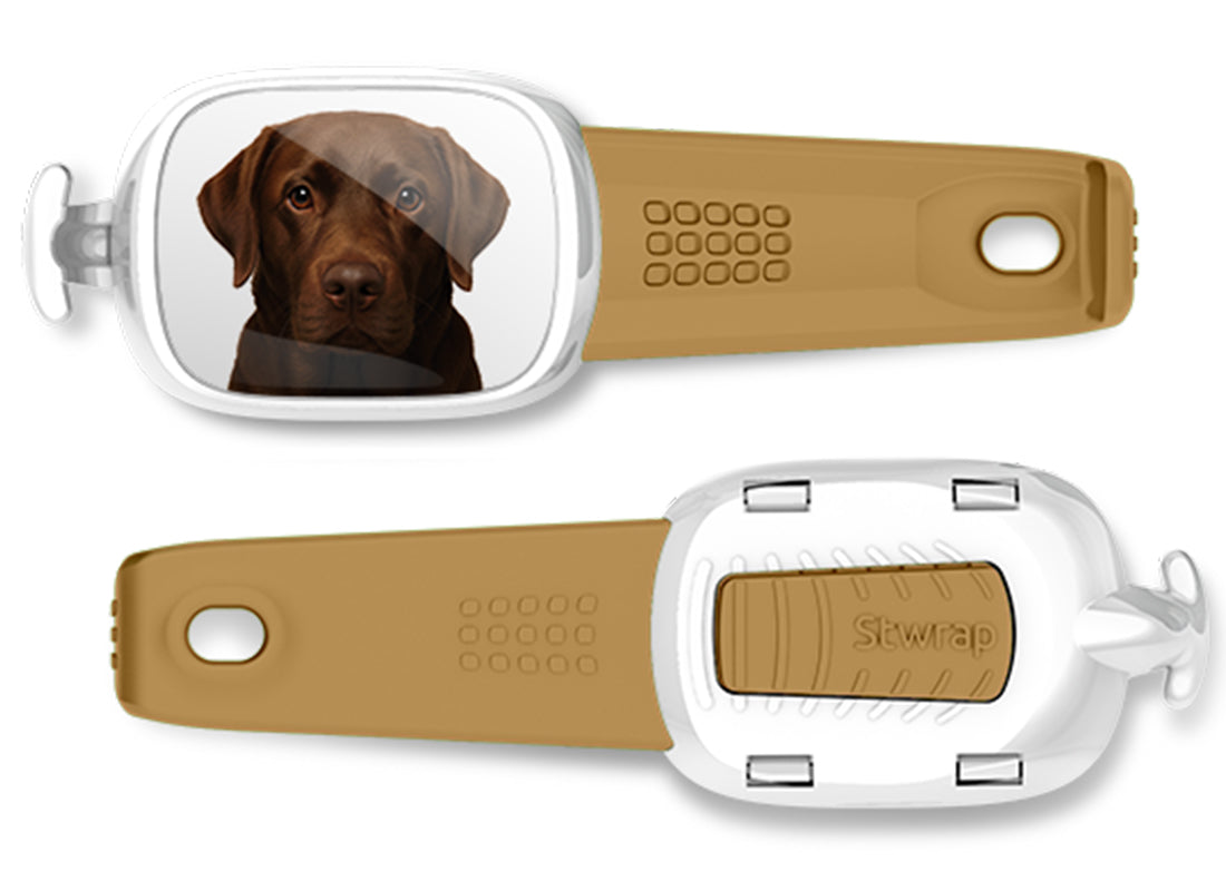 Front and back views of Chocolate Lab photo Stwrap bag tag