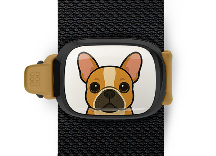 French Bulldog cartoon design Stwrap Bag Tag mounted on a bag strap
