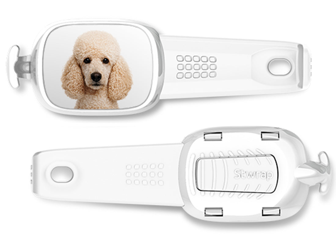 Front and back views of Poodle photo Stwrap bag tag