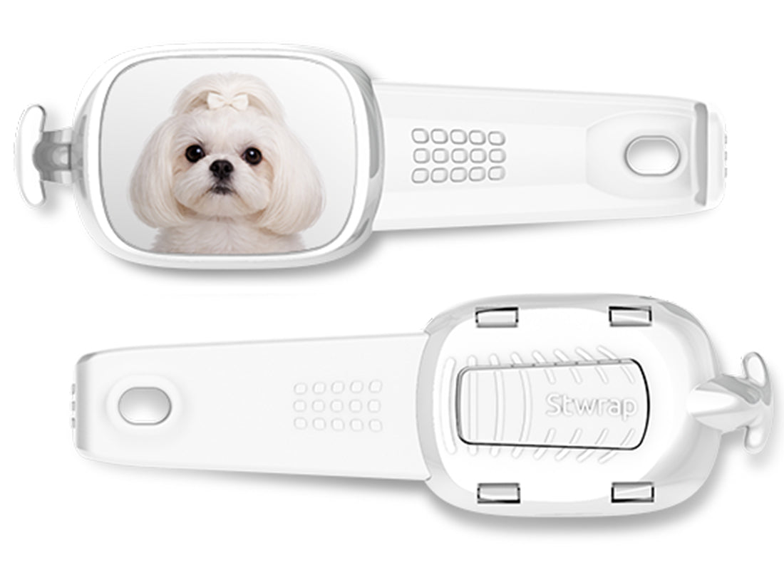 Front and back views of White Shih Tzu photo Stwrap bag tag