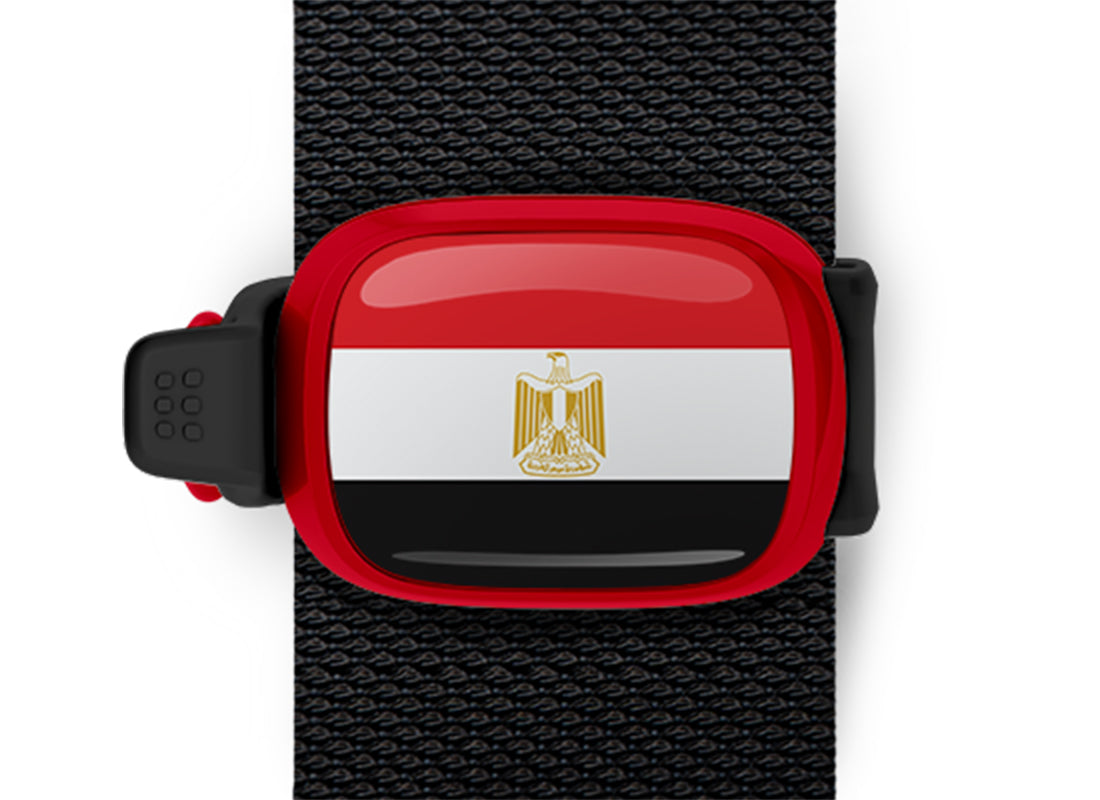 Egypt flag Stwrap bag tag mounted on a bag strap