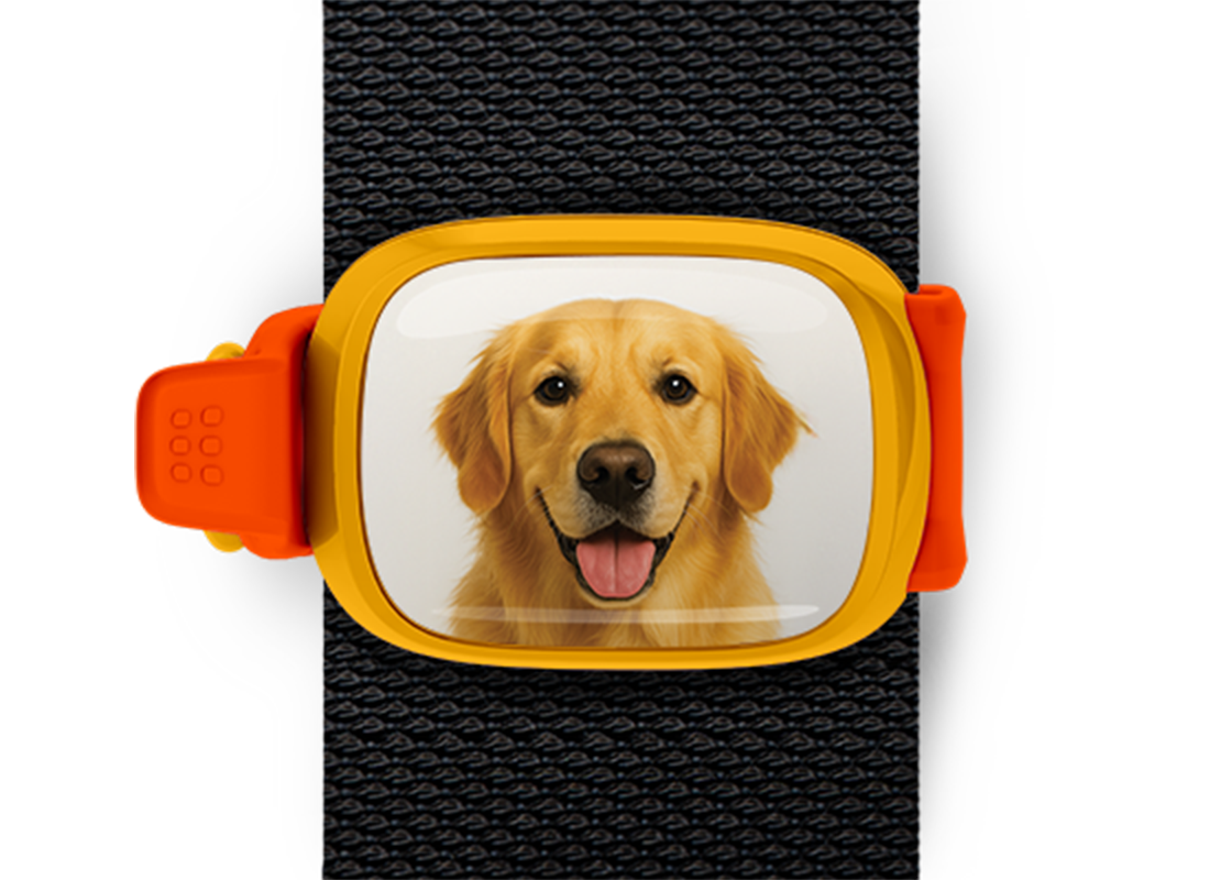 Golden Retriever photo bag tag Stwrap mounted on backpack strap
