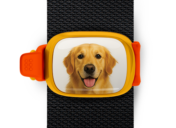 Golden Retriever Stwrap Bag Tag