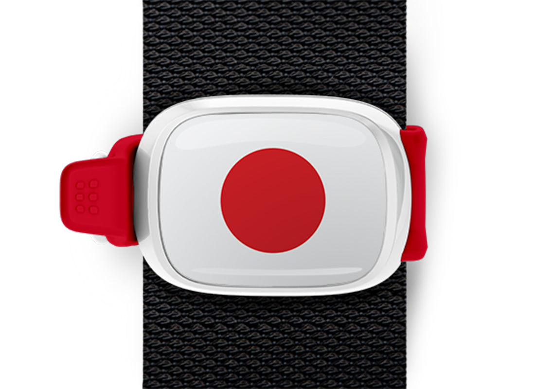 Japan flag Stwrap bag tag mounted on a bag strap