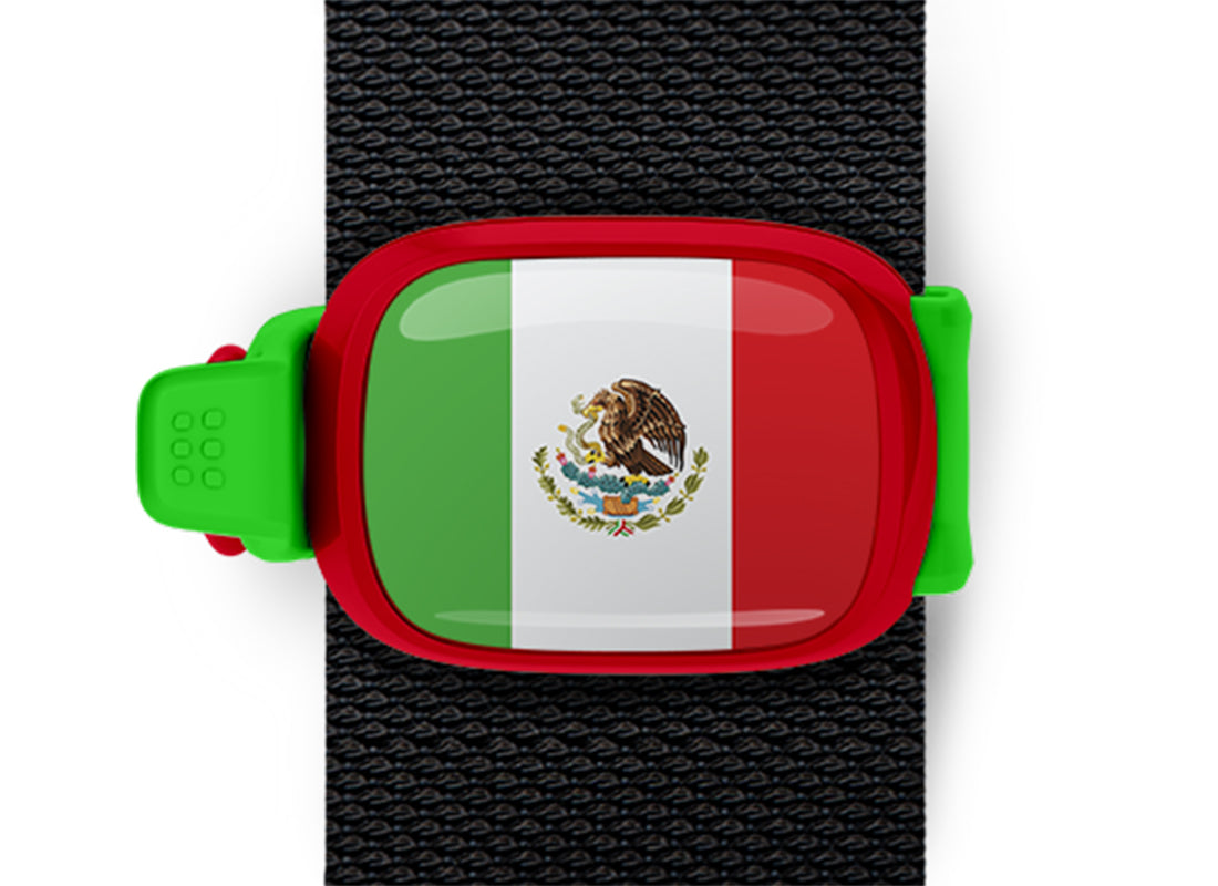 Mexico flag Stwrap bag tag mounted on a bag strap