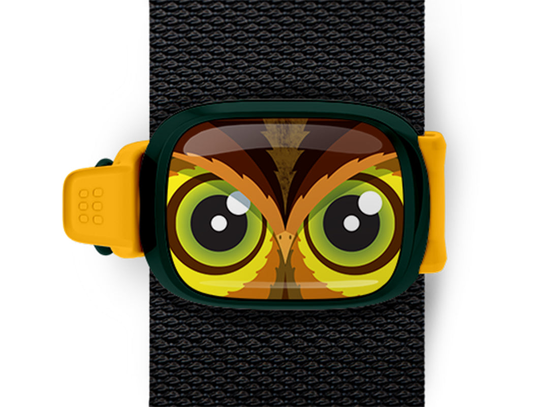 Einstein the Owl Bag Tag Stwrap