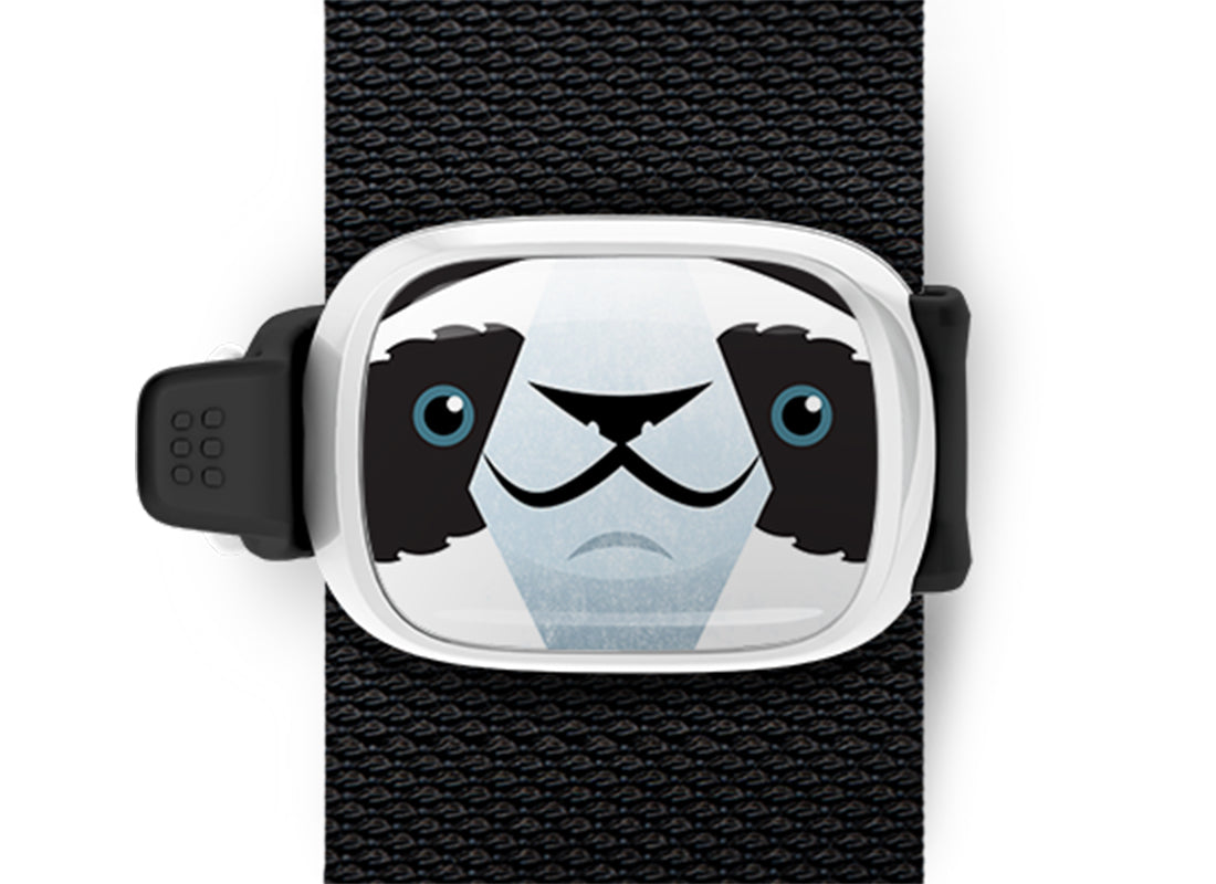 Parker the Panda Bear Bag Tag Stwrap