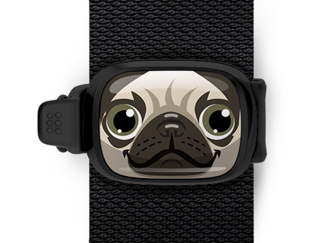 Pugsy The Pug Bag Tag Stwrap