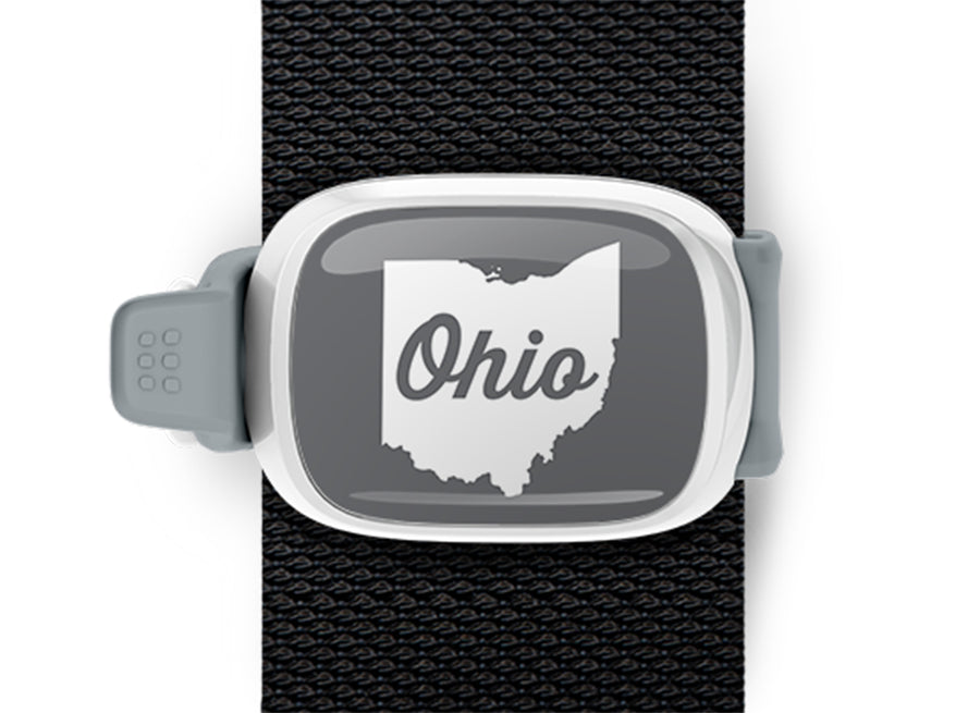 Script in Ohio Ohio Bag Tag mounted on a bag strap