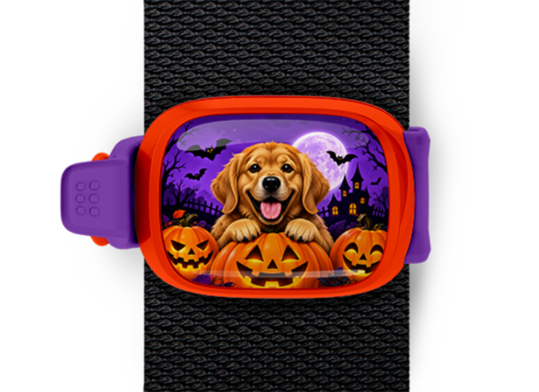 Halloween Golden Retriever Stwrap Halloween bag tag mounted on a black strap