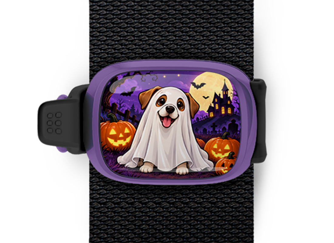 Dog Ghost Costume Stwrap Halloween bag tag mounted on a black strap