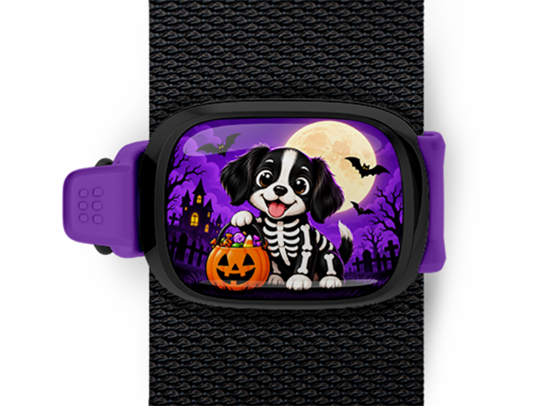 Skeleton Costume Dog Stwrap Halloween bag tag mounted on a black strap
