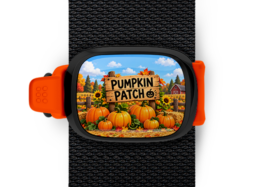 Pumpkin Patch Stwrap Halloween bag tag mounted on a black strap