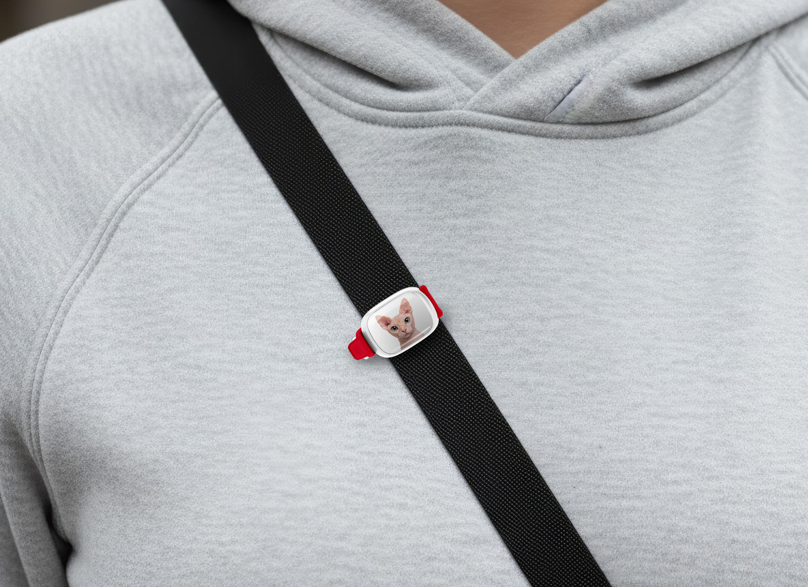 Sphynx Cat Stwrap