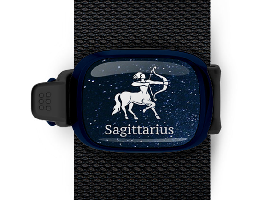 Sagittarius Zodiac Bag Tag by Stwrap flat strap-mounted astrology bag tag