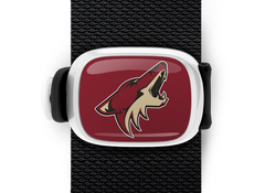 Arizona Coyotes Stwrap - Stwrap