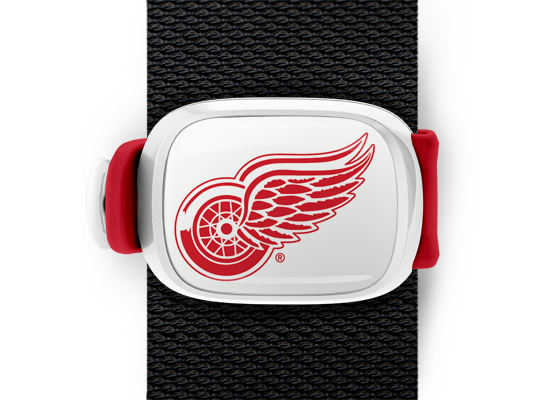 Detroit Red Wings Stwrap - Stwrap