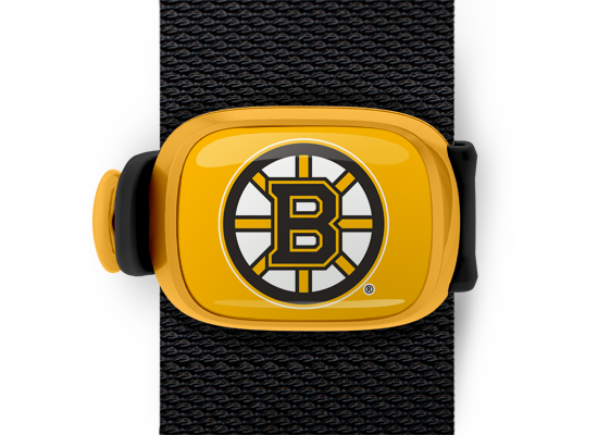 Boston Bruins Stwrap - Stwrap