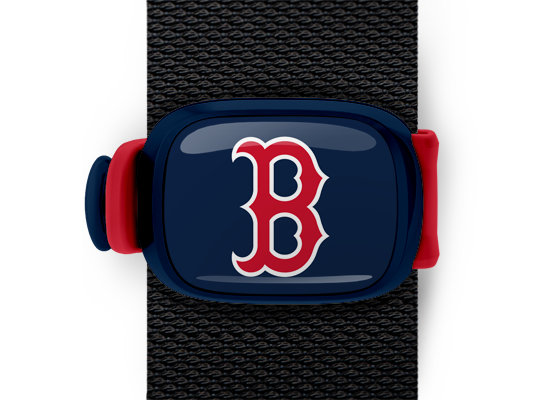 Boston Red Sox Stwrap - Stwrap