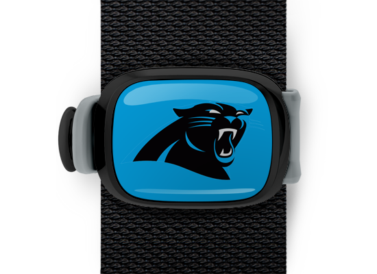 Carolina Panthers Stwrap - Stwrap