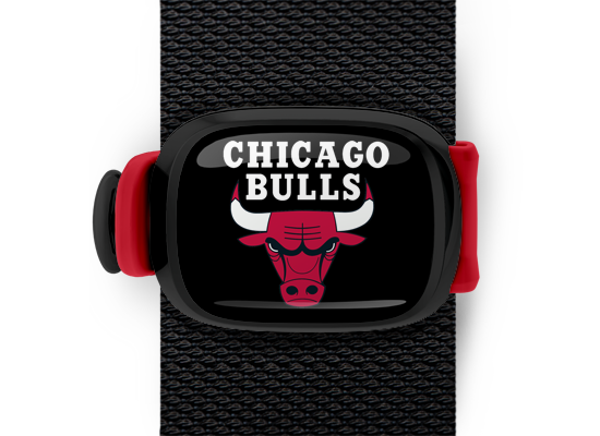 Chicago Bulls Stwrap - Stwrap