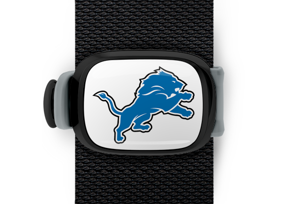 Detroit Lions Stwrap - Stwrap