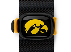 Iowa Hawkeyes Stwrap - Stwrap
