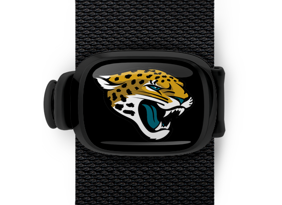 Jacksonville Jaguars Stwrap - Stwrap