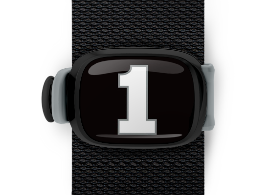 Jamie McMurray #1 Stwrap - Stwrap