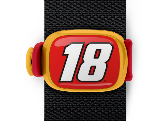 Kyle Busch #18 Stwrap - Stwrap