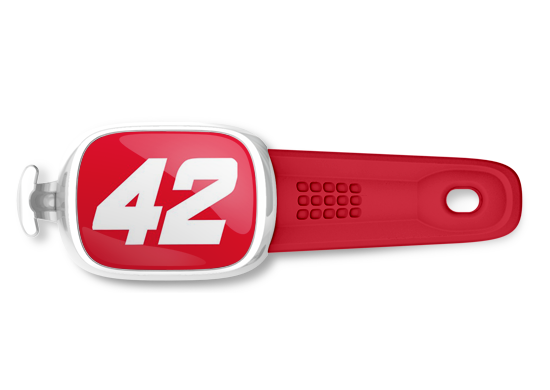 Kyle Larson #42 Stwrap - Stwrap