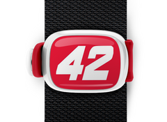 Kyle Larson #42 Stwrap - Stwrap