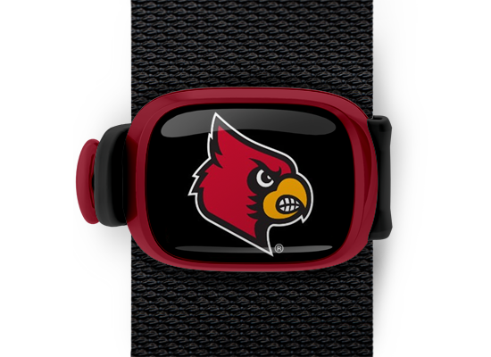 Louisville Cardinals Stwrap - Stwrap