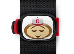 Ohio State Brutus Buckeye Emoji Stwraps (12 Variations) - Stwrap