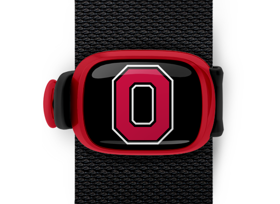 Ohio State Buckeyes Block O Stwrap - Stwrap