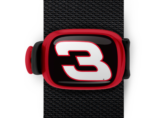 Richard Childress #3 Stwrap - Stwrap