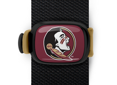 Florida State Seminoles Stwrap - Stwrap