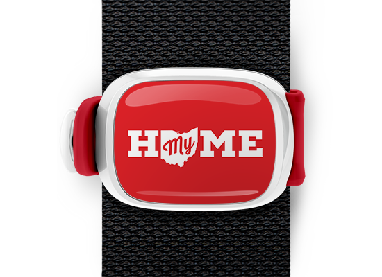 Ohio Home bag tag Stwrap mounted on backpack strap