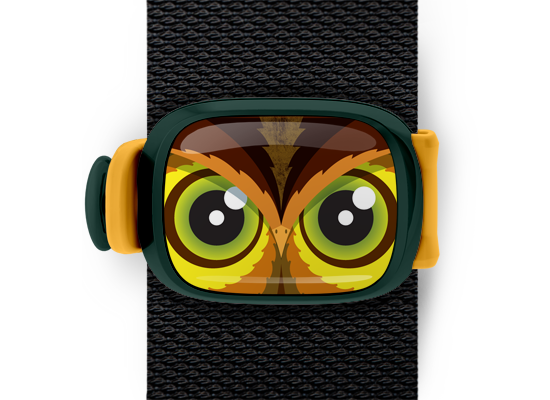 Einstein the Owl Stwrap - Stwrap