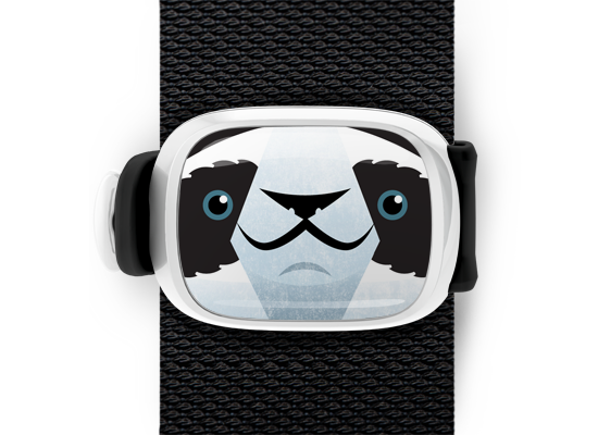 Parker the Panda Bear Stwrap - Stwrap