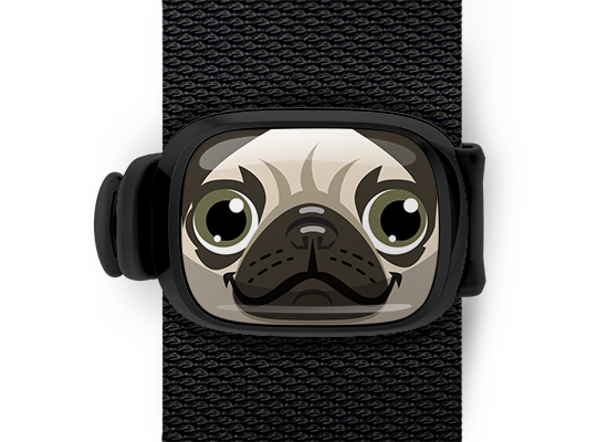 Pugsy the Pug Stwrap - Stwrap