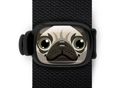 Pugsy the Pug Stwrap - Stwrap