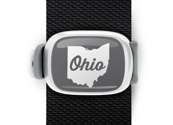 Script in Ohio bag tag Stwrap mounted on backpack strap