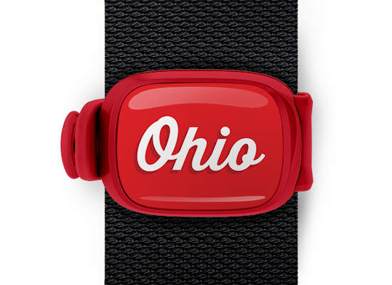 Script Ohio bag tag Stwrap mounted on backpack strap