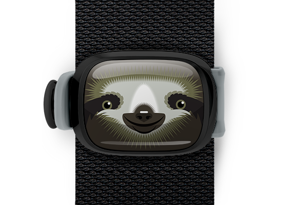 Sylvia the Sloth Stwrap - Stwrap