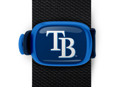 Tampa Bay Rays Stwrap - Stwrap